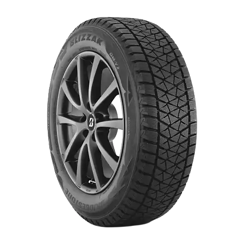Bridgestone Blizzak DM-V2